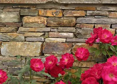 Bitteroot Ledgestone