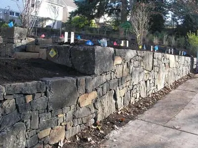 Black Basalt Wall... Scenery Inc.