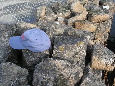 Blocky Moss Rock in pallet