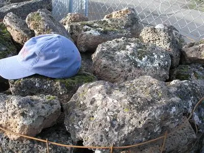 Blocky Moss Rock in pallet