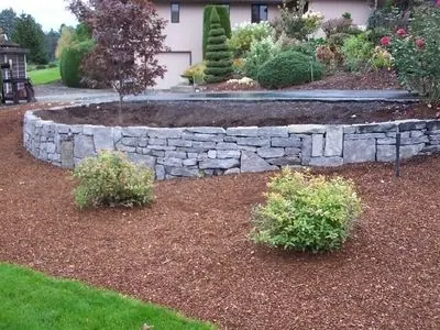 Croisan Creek Landscape uses a mix of Camas stone