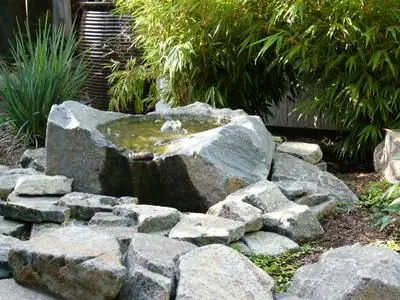 Bubbling bowl - A Koch garden