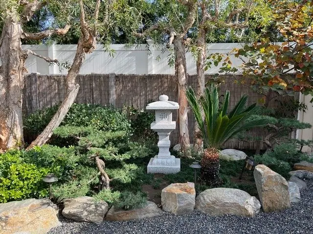 Harriet's garden