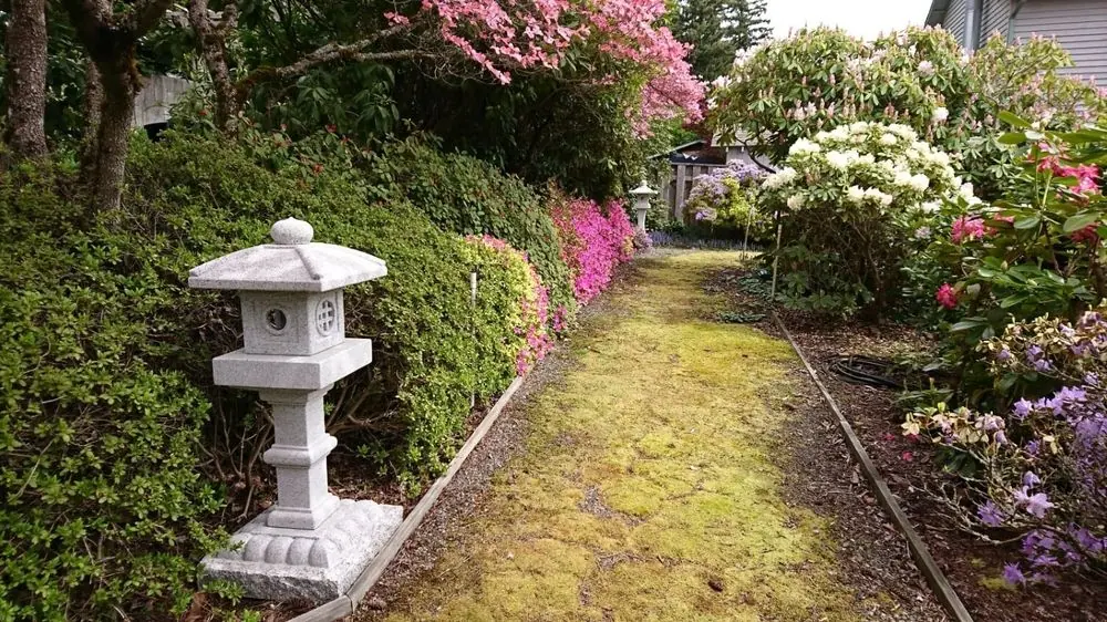 Ed Yoneoka garden
