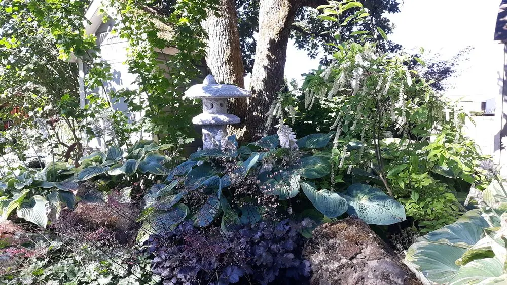Walters garden, Millersburg, Oregon