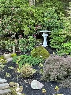 Dr Stephen Wallace garden, Cheshire, CT