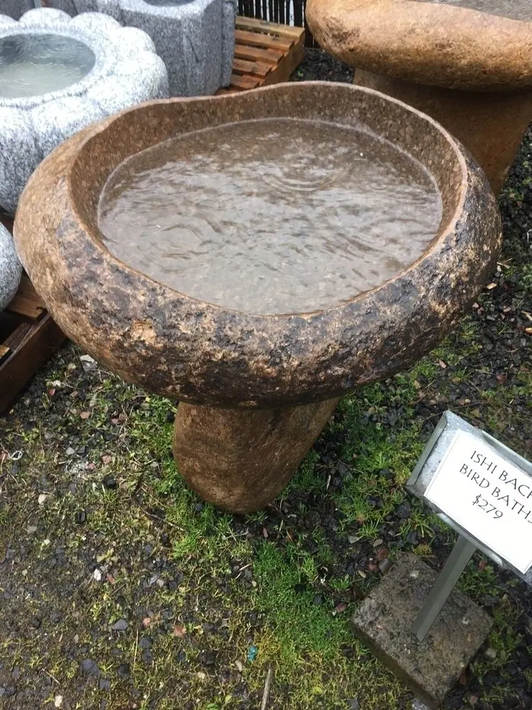 Bird Bath - top view
