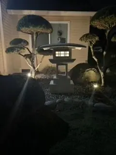 Crump Garden at night