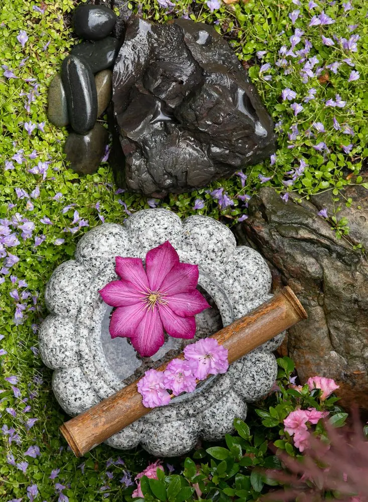 In the garden of Kent Burgess