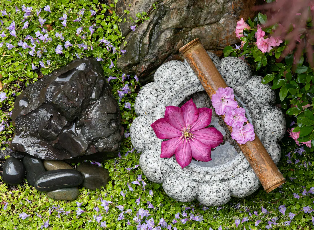 In the garden of Kent Burgess