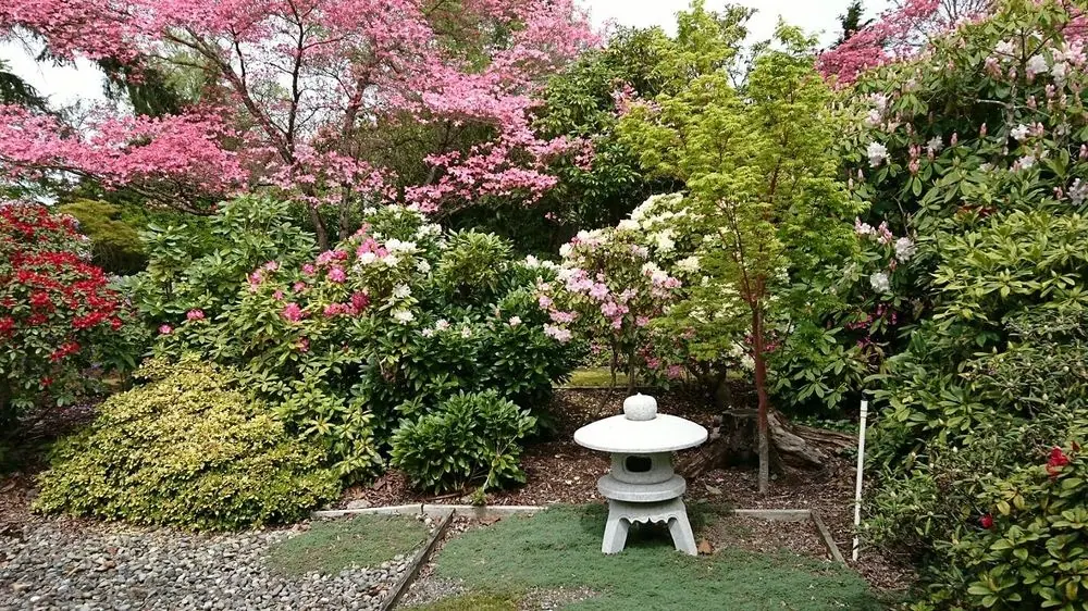 Ed Yoneoka garden