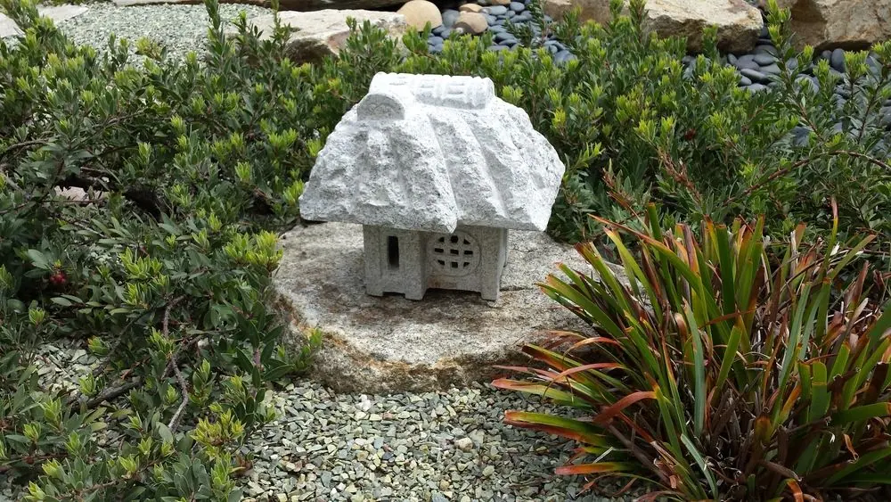 Kusaya in Tracy's garden - San Diego, CA