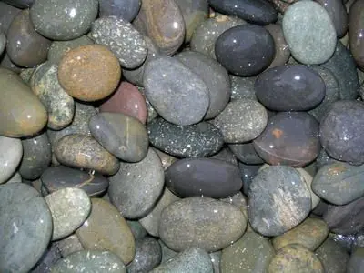 Black Mexican Pebble - wet