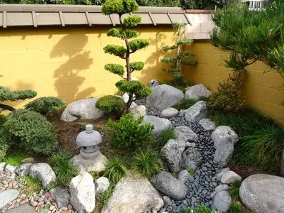 Misaki in the garden of John Nishio