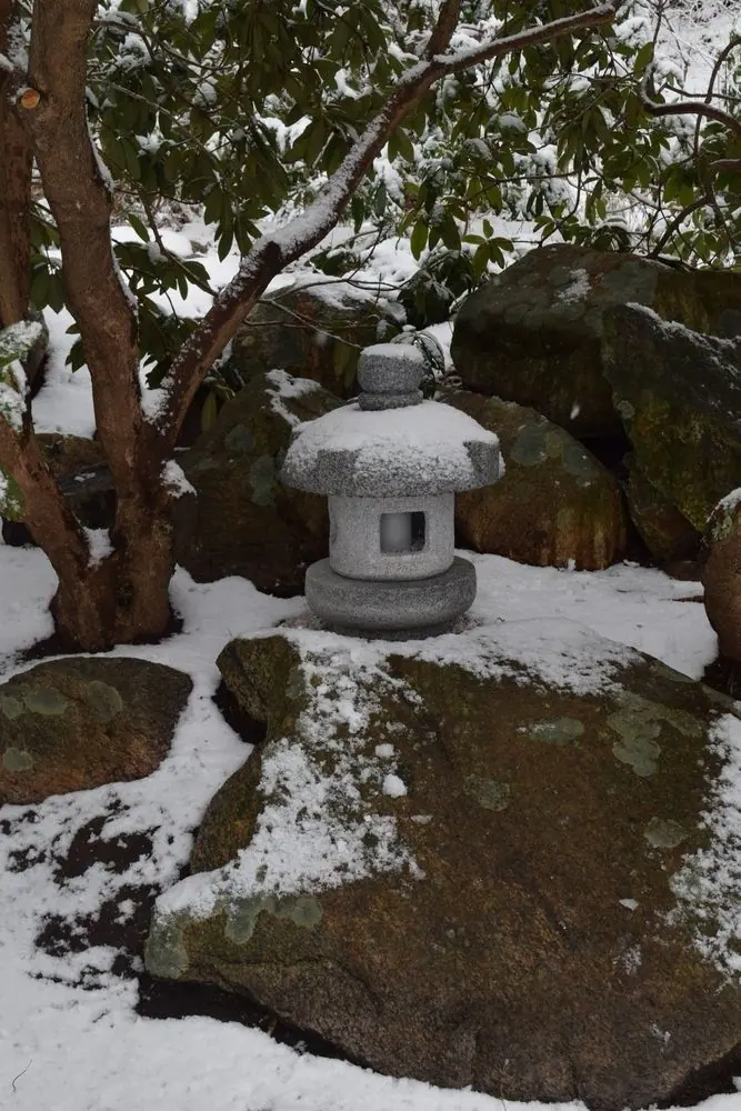 Ray Stephens snowy garden
