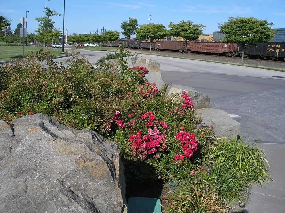 another roundabout photo