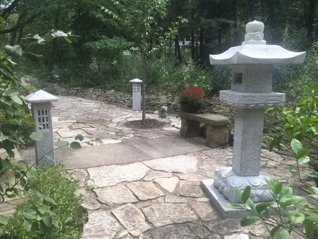 Tom Serynek garden