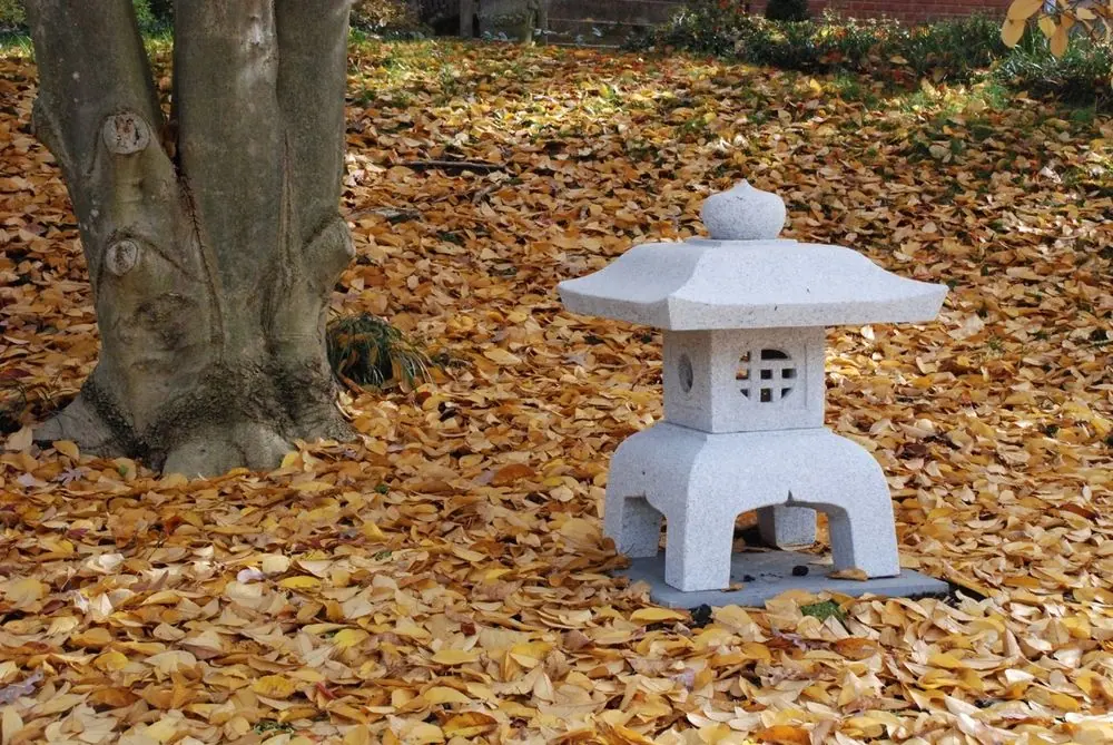 lantern photo from Mike D of Washington DC