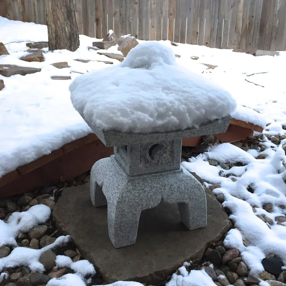 Gale C. Oki with fresh snow in Fort Collins, CO