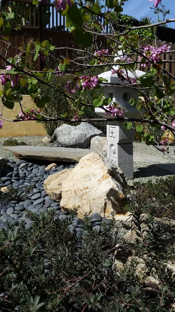 Oribe in the garden of Tracy S in San Diego
