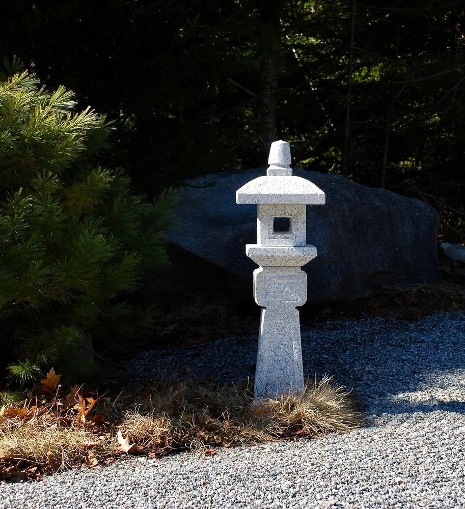 36" tall in the garden of David V in Cushing, ME