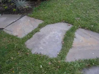Variegated Stepstones