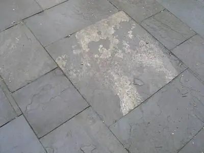 Variegated Pattern