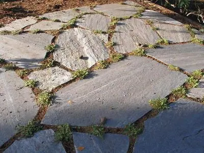 Silver Flagstone - Back to the Roots Landscape