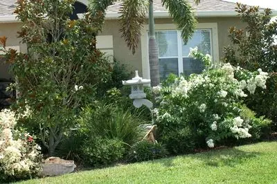 Rankei in garden of a great customer in Viera, FL