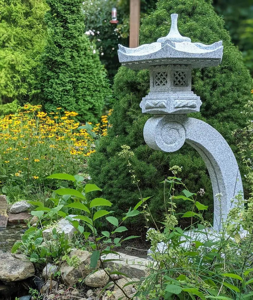 Robin Lasek garden