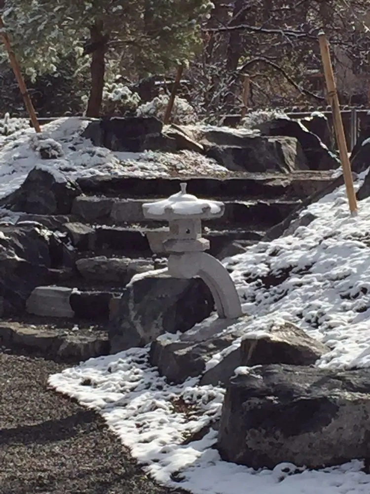 Richards snowy Rankei