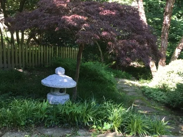 Kathleen Irwin's garden