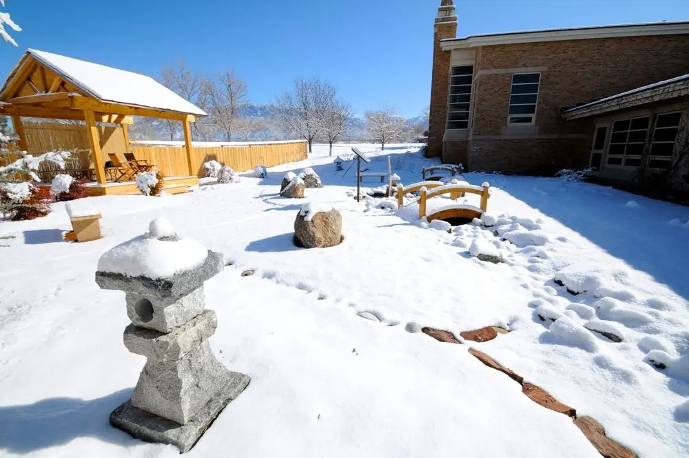Albequerque Academy garden