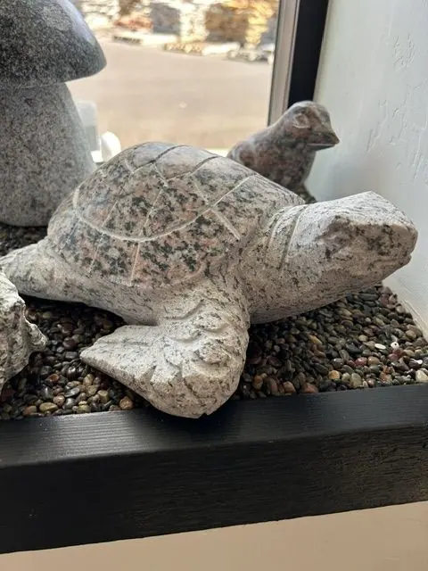 Red Sea Turtle