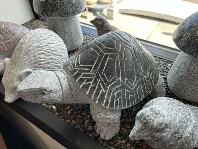 Black Tortoise