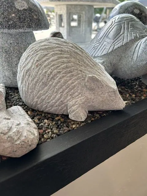 Hedgehog