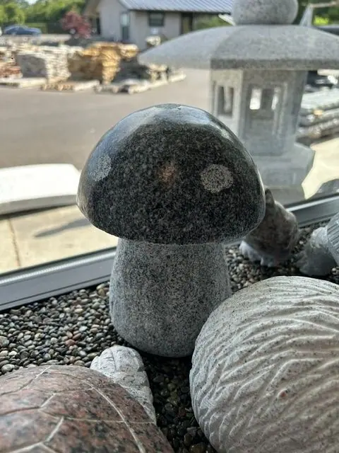 Mushroom