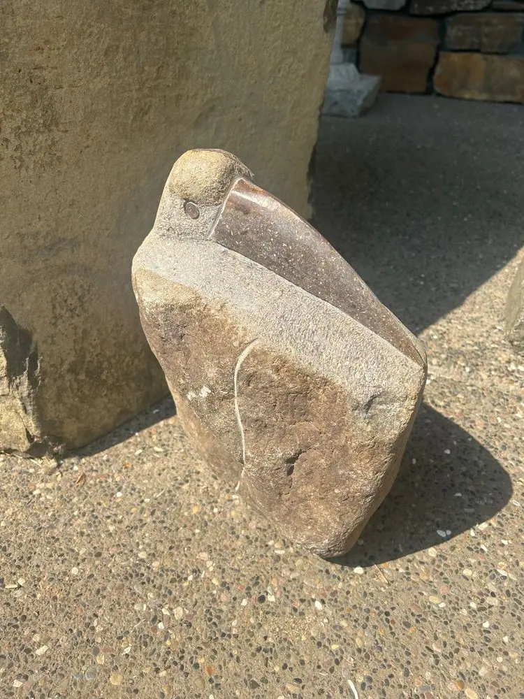 Shorebird Stone