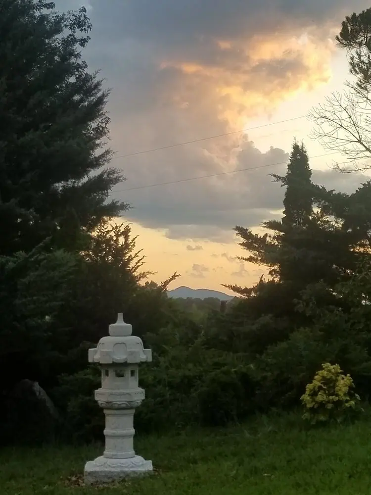 another view of Magruder garden Tahei