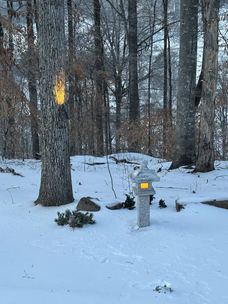 ...snowbound landscape of Mike Williams, TN