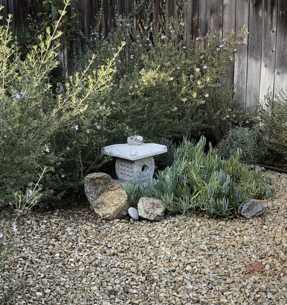 ...in the garden of K Herzbrun