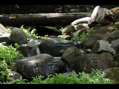 Scenery Inc.