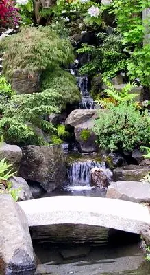 Daichi Landscape - Eugene, Oregon