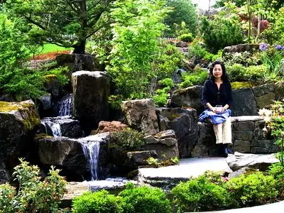 Daichi Landscape