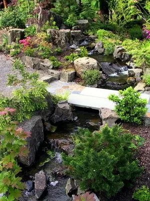 Daichi Landscape - Eugene, Oregon