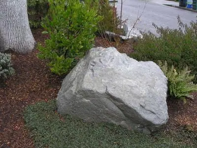 Large landscape boulder
