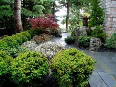 Scenery Inc. landscape