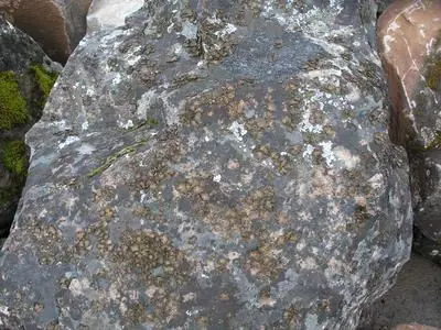 Windswept boulder